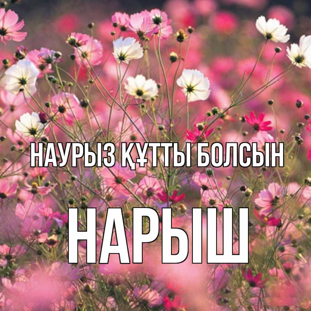 Күн сайын ашық хат с именем, Нарыш Наурыз құтты болсын красиво 1 Онлайн тегін жүктеп алу тілектері бар керемет карта 