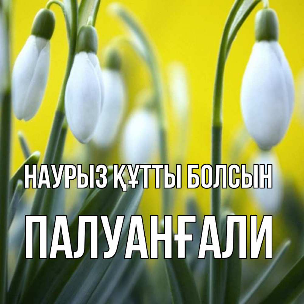 Күн сайын ашық хат с именем, ПАЛУАНҒАЛИ Наурыз құтты болсын весенние цветы Онлайн тегін жүктеп алу тілектері бар керемет карта 