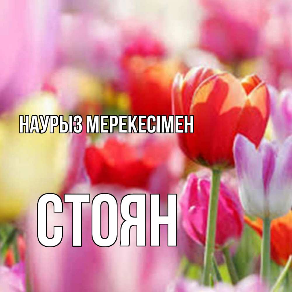 Күн сайын ашық хат с именем, Стоян Наурыз мерекесімен праздник весны наурыз 67 Онлайн тегін жүктеп алу тілектері бар керемет карта 