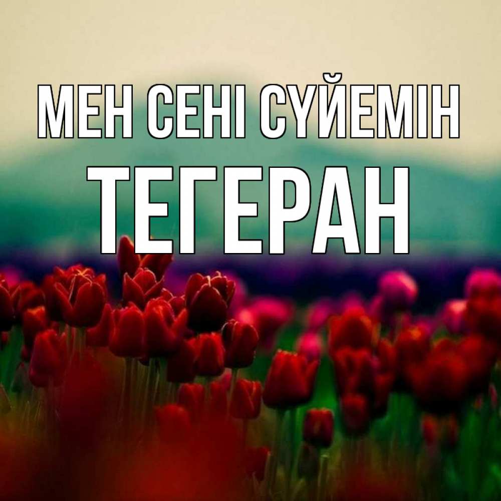 Күн сайын ашық хат с именем, ТЕГЕРАН Мен сені сүйемін тюльпаны 4 Онлайн тегін жүктеп алу тілектері бар керемет карта 