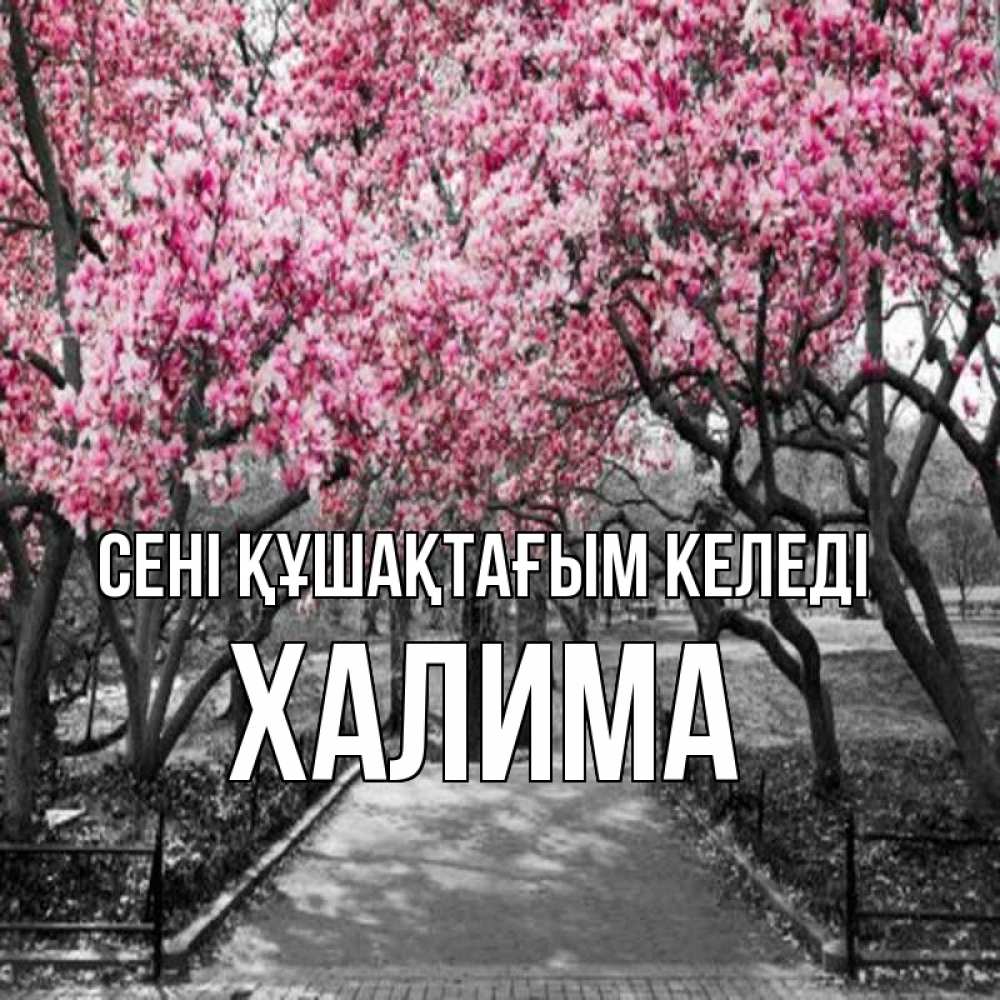 Күн сайын ашық хат с именем, ХАЛИМА сені құшақтағым келеді обработанное фото Онлайн тегін жүктеп алу тілектері бар керемет карта 