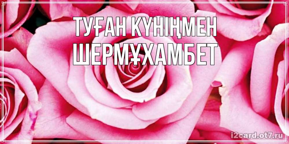 Күн сайын ашық хат с именем, ШЕРМҰХАМБЕТ Туған күніңмен открытка с розовой розой на день рождения Онлайн тегін жүктеп алу тілектері бар керемет карта 