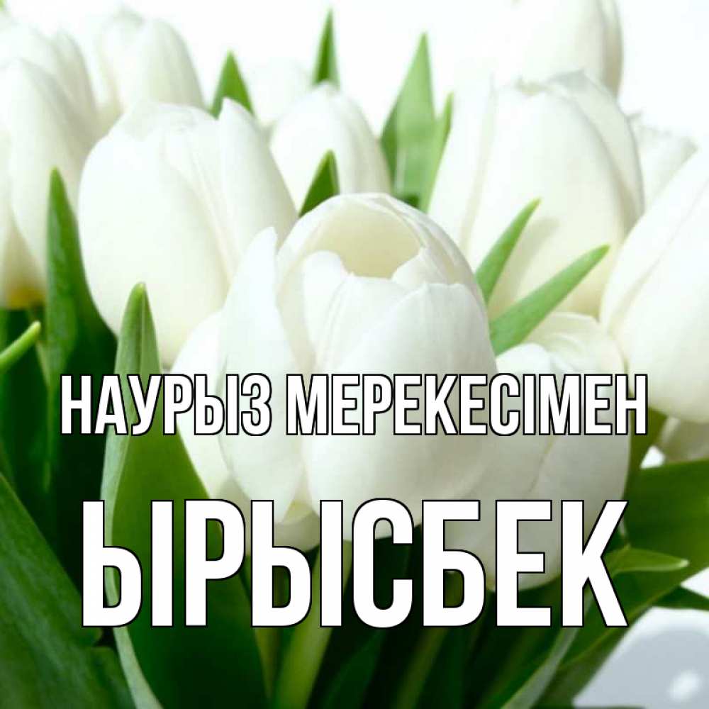 Күн сайын ашық хат с именем, ЫРЫСБЕК Наурыз мерекесімен цветы Онлайн тегін жүктеп алу тілектері бар керемет карта 