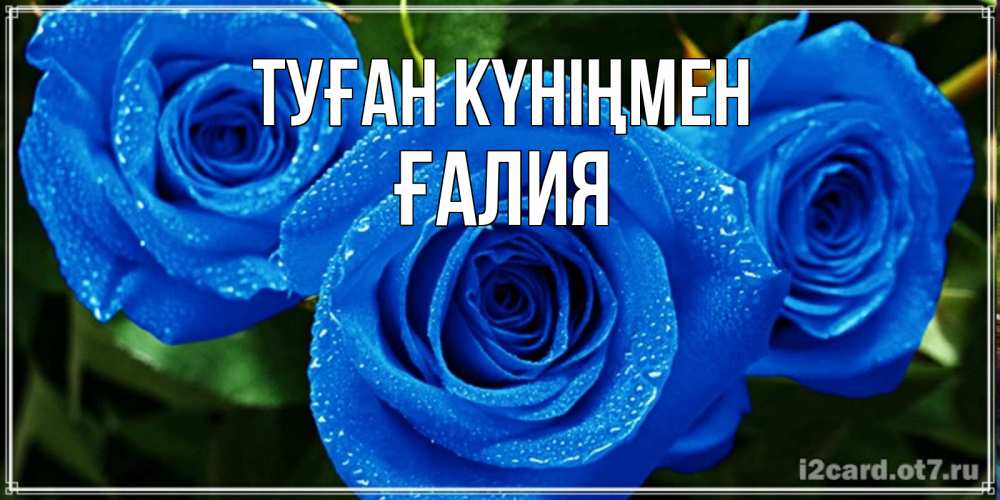 Күн сайын ашық хат с именем, ҒАЛИЯ Туған күніңмен розы с синим цветом Онлайн тегін жүктеп алу тілектері бар керемет карта 