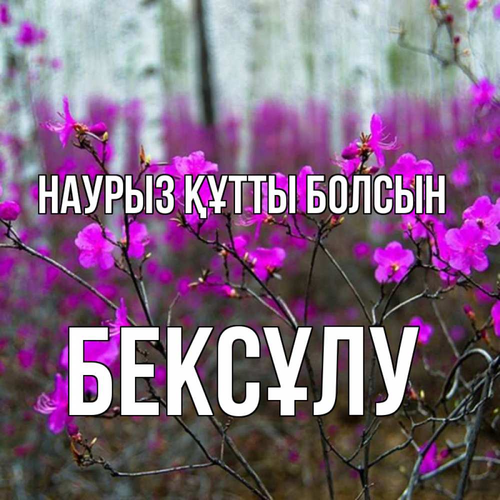 Күн сайын ашық хат с именем, БЕКСҰЛУ Наурыз құтты болсын дикие цветы Онлайн тегін жүктеп алу тілектері бар керемет карта 