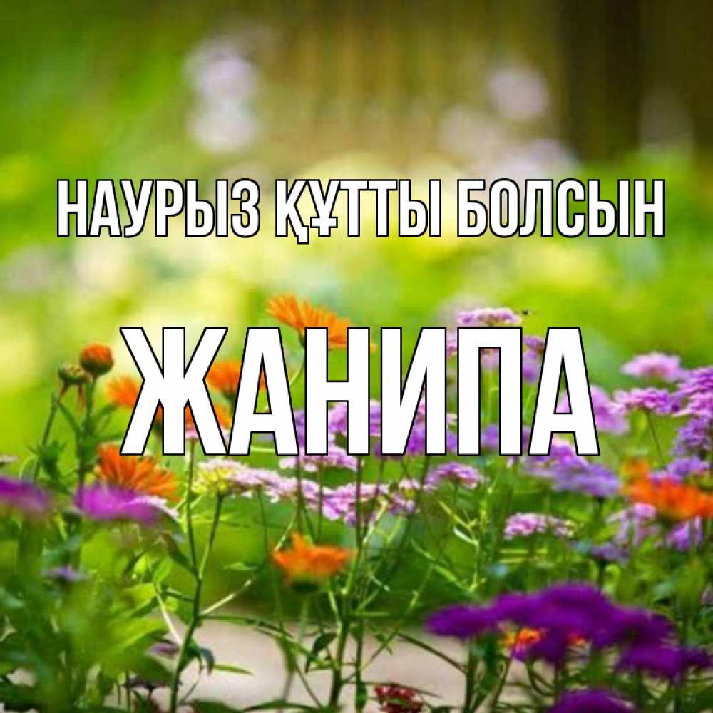 Күн сайын ашық хат с именем, ЖАНИПА Наурыз құтты болсын цветы Онлайн тегін жүктеп алу тілектері бар керемет карта 