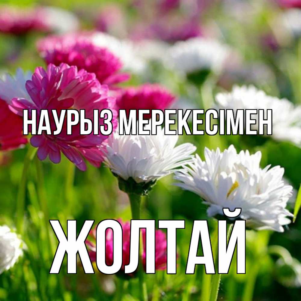 Күн сайын ашық хат с именем, Жолтай Наурыз мерекесімен праздник весны наурыз красота Онлайн тегін жүктеп алу тілектері бар керемет карта 
