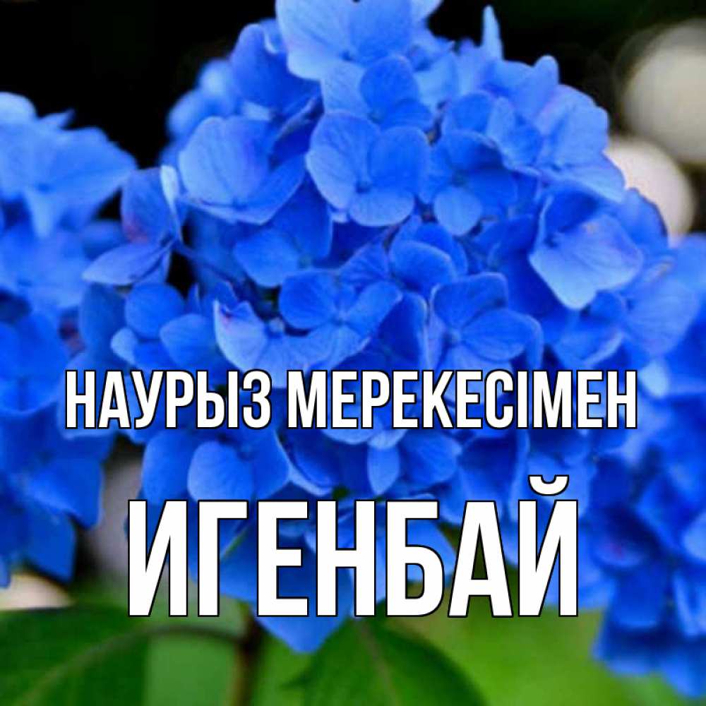 Күн сайын ашық хат с именем, Игенбай Наурыз мерекесімен синие цветы Онлайн тегін жүктеп алу тілектері бар керемет карта 