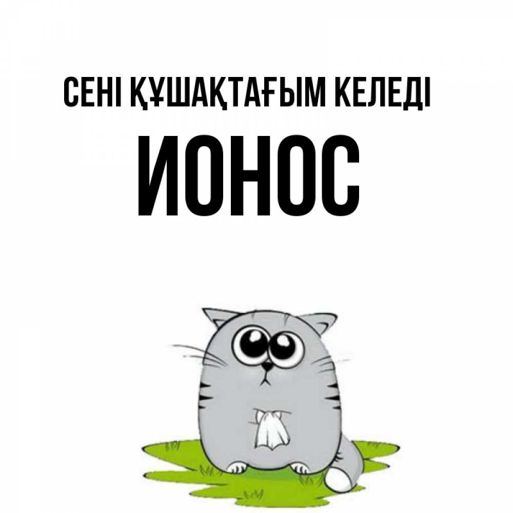 Күн сайын ашық хат с именем, Ионос сені құшақтағым келеді котик теребит платочек сидя на травке Онлайн тегін жүктеп алу тілектері бар керемет карта 