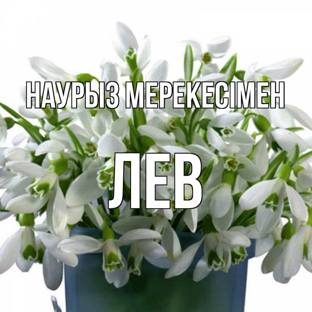 Күн сайын ашық хат с именем, Лев Наурыз мерекесімен цветы к наурызу новый год в Казахстане Онлайн тегін жүктеп алу тілектері бар керемет карта 