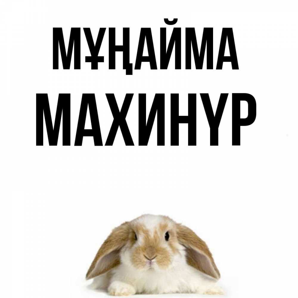 Күн сайын ашық хат с именем, МАХИНҮР Мұңайма коричнево белый заяц с большими ушками Онлайн тегін жүктеп алу тілектері бар керемет карта 