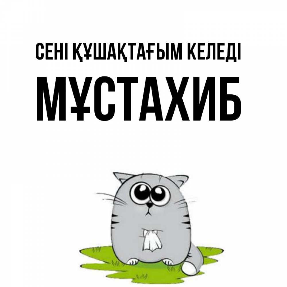 Күн сайын ашық хат с именем, МҰСТАХИБ сені құшақтағым келеді котик теребит платочек сидя на травке Онлайн тегін жүктеп алу тілектері бар керемет карта 
