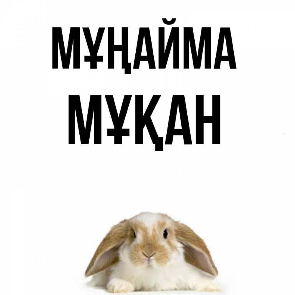 Күн сайын ашық хат с именем, Мұқан Мұңайма коричнево белый заяц с большими ушками Онлайн тегін жүктеп алу тілектері бар керемет карта 