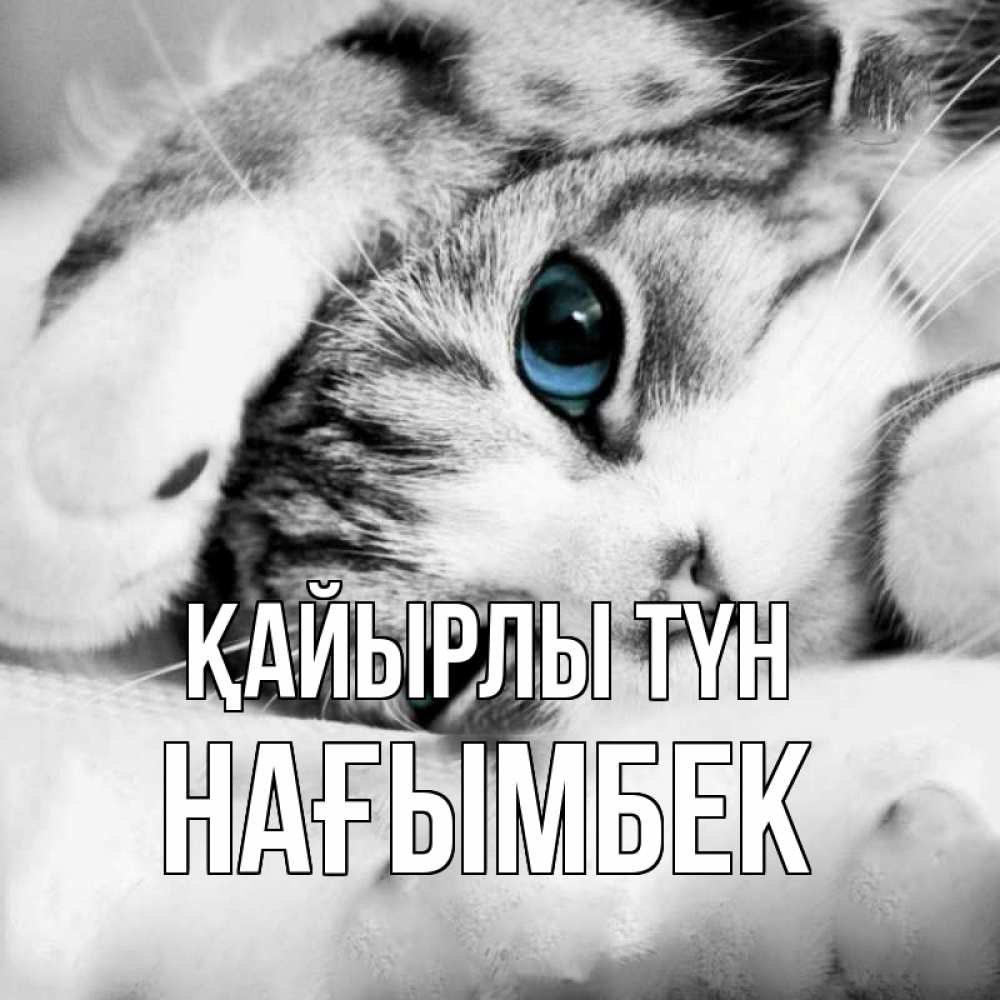 Күн сайын ашық хат с именем, НАҒЫМБЕК Қайырлы түн кот устал Онлайн тегін жүктеп алу тілектері бар керемет карта 