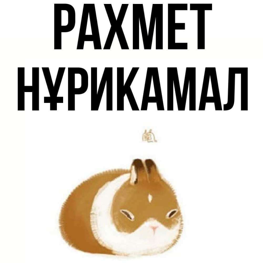 Күн сайын ашық хат с именем, НҰРИКАМАЛ рахмет коричнево белый домашний питомец Онлайн тегін жүктеп алу тілектері бар керемет карта 