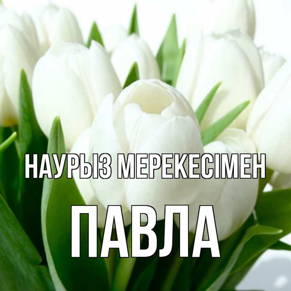 Күн сайын ашық хат с именем, Павла Наурыз мерекесімен цветы Онлайн тегін жүктеп алу тілектері бар керемет карта 