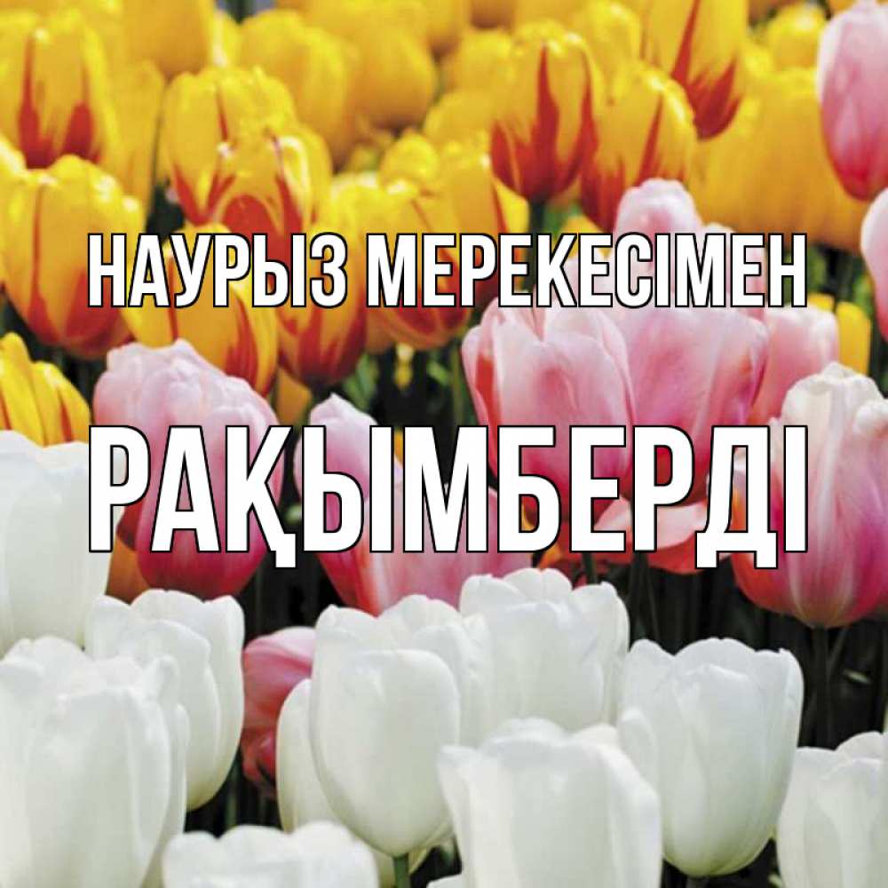 Күн сайын ашық хат с именем, Рақымберді Наурыз мерекесімен разноцветные цветы Онлайн тегін жүктеп алу тілектері бар керемет карта 