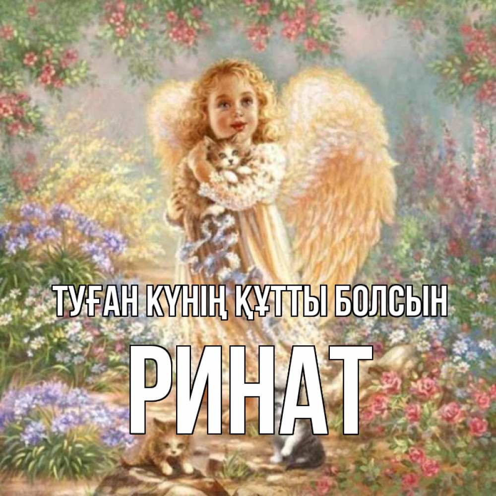 Күн сайын ашық хат с именем, Ринат Туған күнің құтты болсын держит котенка Онлайн тегін жүктеп алу тілектері бар керемет карта 