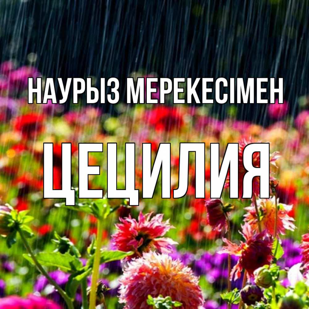 Күн сайын ашық хат с именем, Цецилия Наурыз мерекесімен цветы под дождиком к международному женскому дню Онлайн тегін жүктеп алу тілектері бар керемет карта 