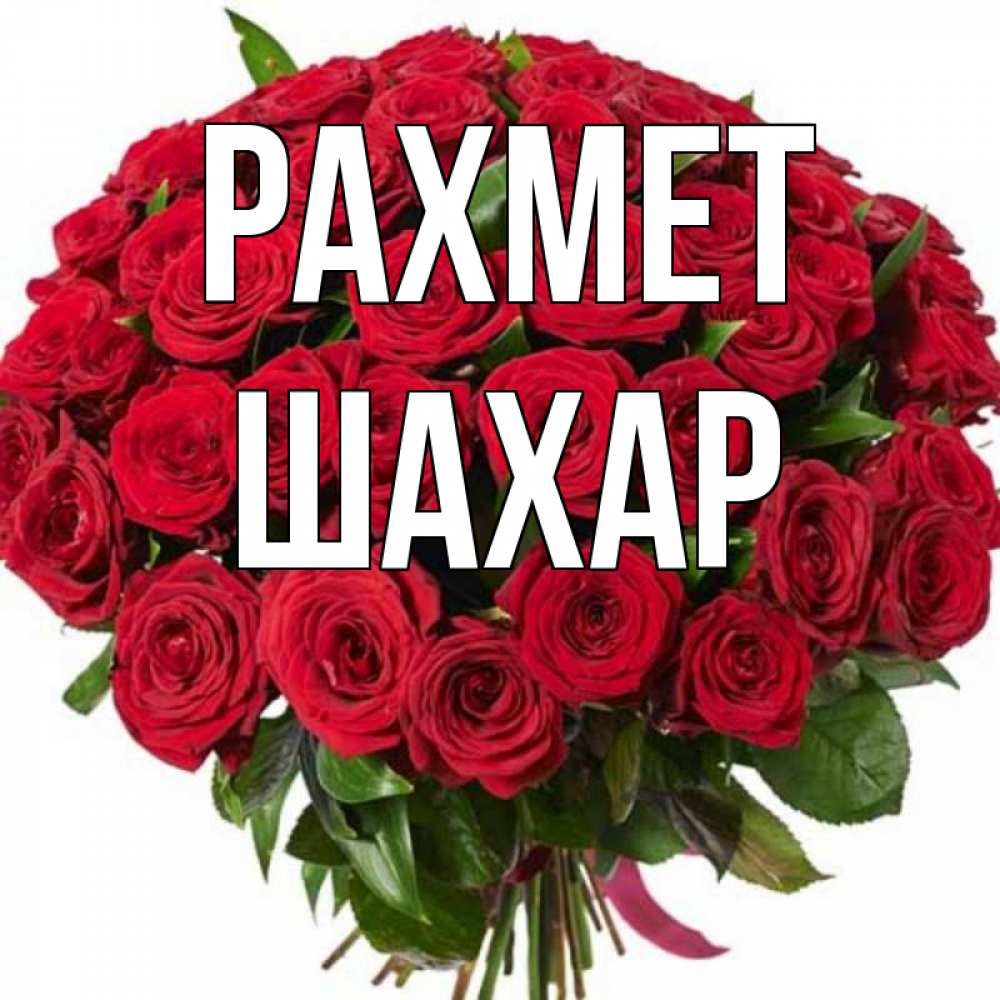 Күн сайын ашық хат с именем, ШАХАР рахмет букет красных роз Онлайн тегін жүктеп алу тілектері бар керемет карта 