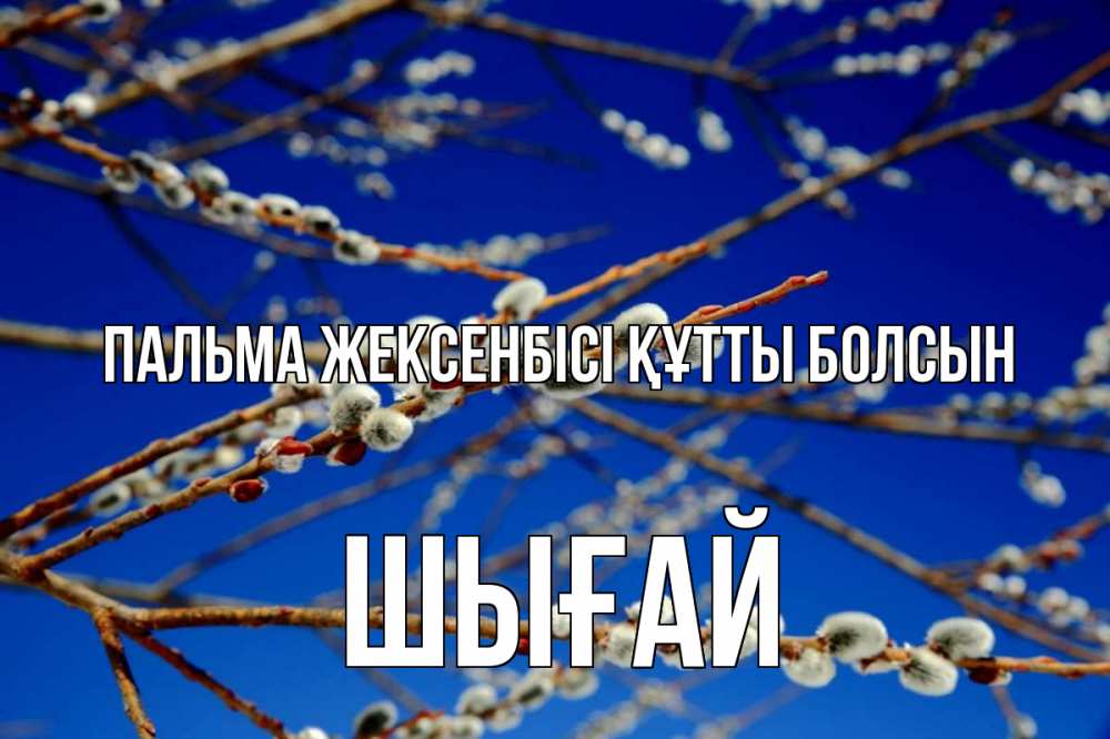 Күн сайын ашық хат с именем, ШЫҒАЙ Пальма жексенбісі құтты болсын верба Онлайн тегін жүктеп алу тілектері бар керемет карта 