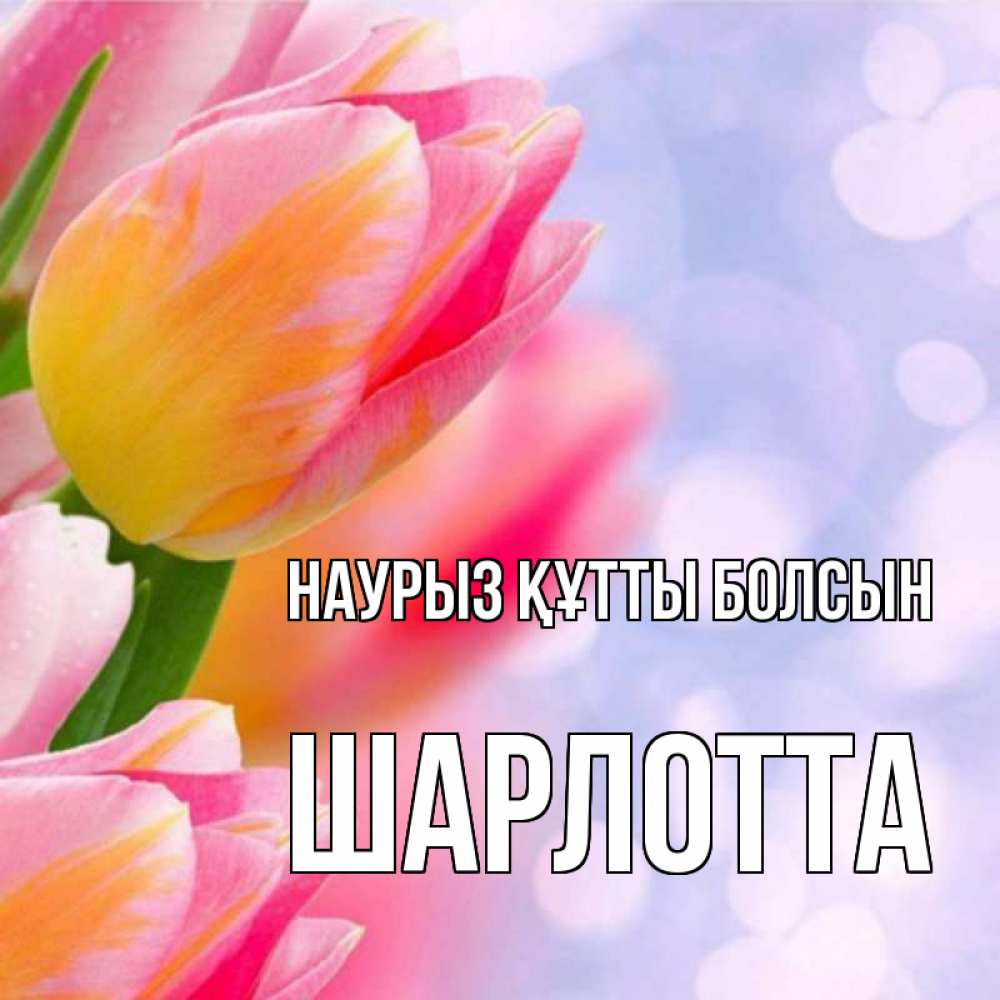 Күн сайын ашық хат с именем, Шарлотта Наурыз құтты болсын тюльпаны 2 Онлайн тегін жүктеп алу тілектері бар керемет карта 