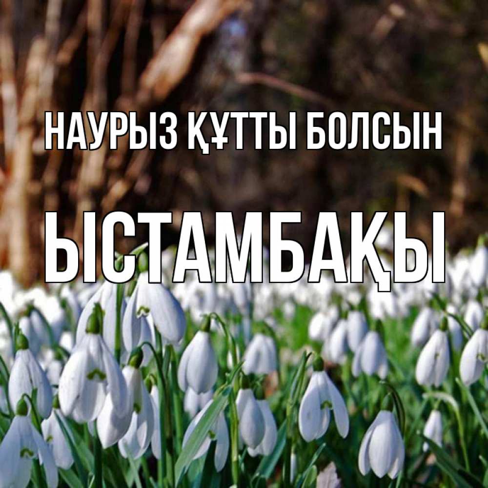 Күн сайын ашық хат с именем, ЫСТАМБАҚЫ Наурыз құтты болсын с подснежниками 1 Онлайн тегін жүктеп алу тілектері бар керемет карта 