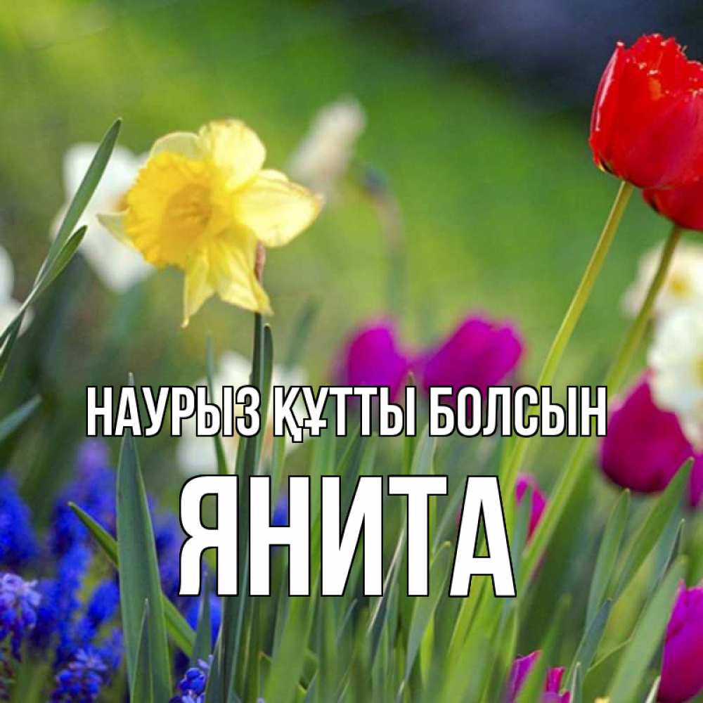 Күн сайын ашық хат с именем, Янита Наурыз құтты болсын наурыз  3 открытки Онлайн тегін жүктеп алу тілектері бар керемет карта 