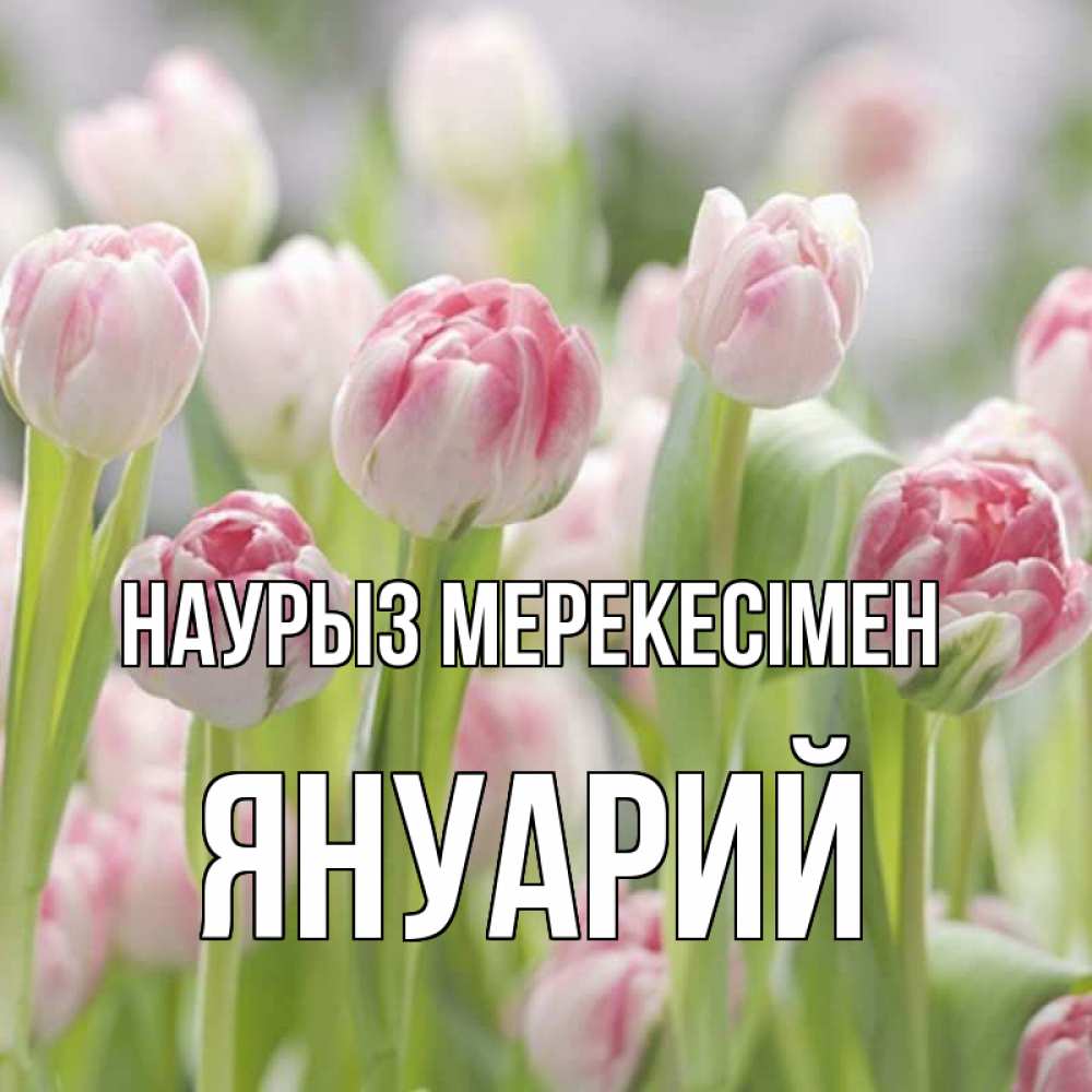 Күн сайын ашық хат с именем, Януарий Наурыз мерекесімен цветы Онлайн тегін жүктеп алу тілектері бар керемет карта 