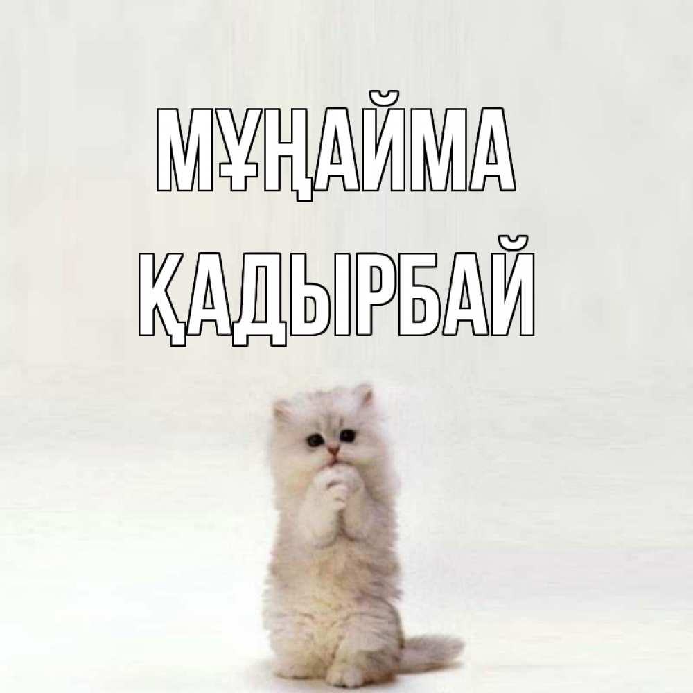 Күн сайын ашық хат с именем, Қадырбай Мұңайма грустный кот Онлайн тегін жүктеп алу тілектері бар керемет карта 