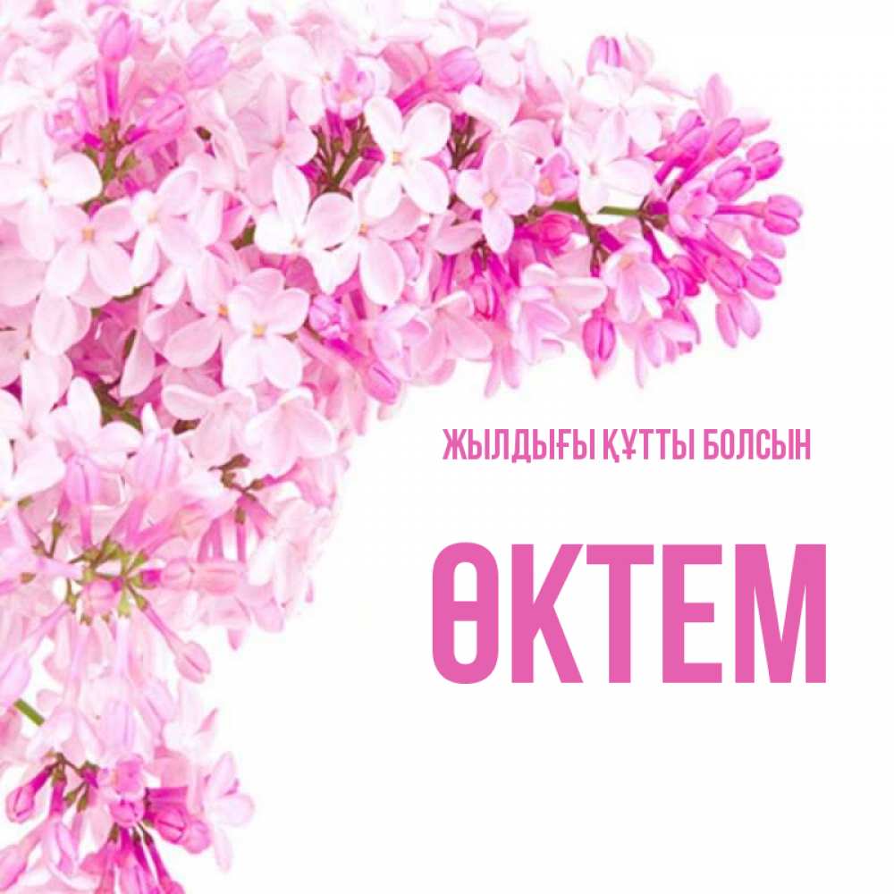 Күн сайын ашық хат с именем, ӨКТЕМ Жылдығы құтты болсын Сирень на белом фоне Онлайн тегін жүктеп алу тілектері бар керемет карта 