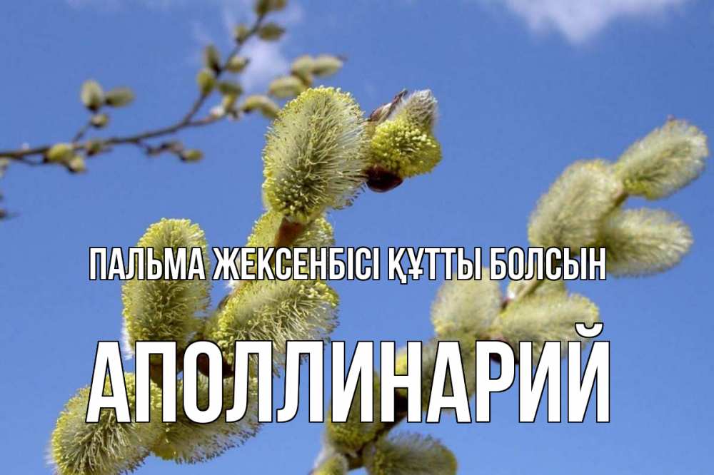 Күн сайын ашық хат с именем, Аполлинарий Пальма жексенбісі құтты болсын верба Онлайн тегін жүктеп алу тілектері бар керемет карта 