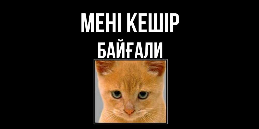 Күн сайын ашық хат с именем, Байғали Мені кешір рыжий грустный кот просит прощения Онлайн тегін жүктеп алу тілектері бар керемет карта 