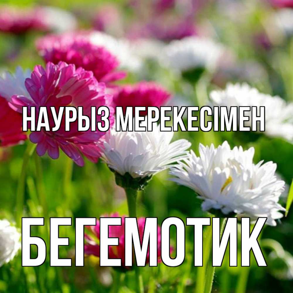 Күн сайын ашық хат с именем, Бегемотик Наурыз мерекесімен праздник весны наурыз красота Онлайн тегін жүктеп алу тілектері бар керемет карта 