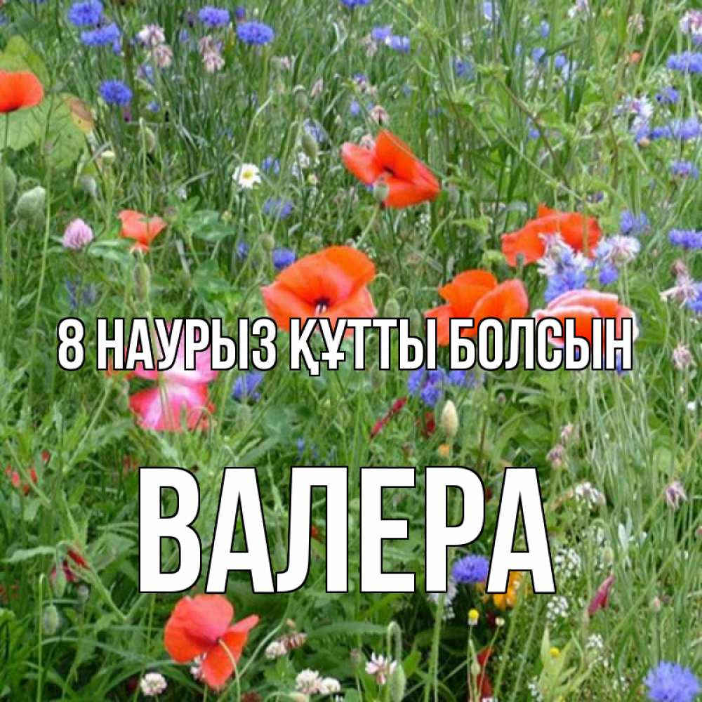 Күн сайын ашық хат с именем, Валера 8 наурыз құтты болсын международный женский день 4 Онлайн тегін жүктеп алу тілектері бар керемет карта 