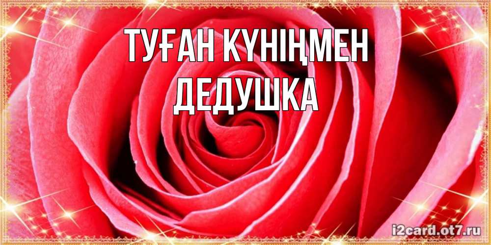 Күн сайын ашық хат с именем, Дедушка Туған күніңмен розовая роза очень крупный бутон Онлайн тегін жүктеп алу тілектері бар керемет карта 