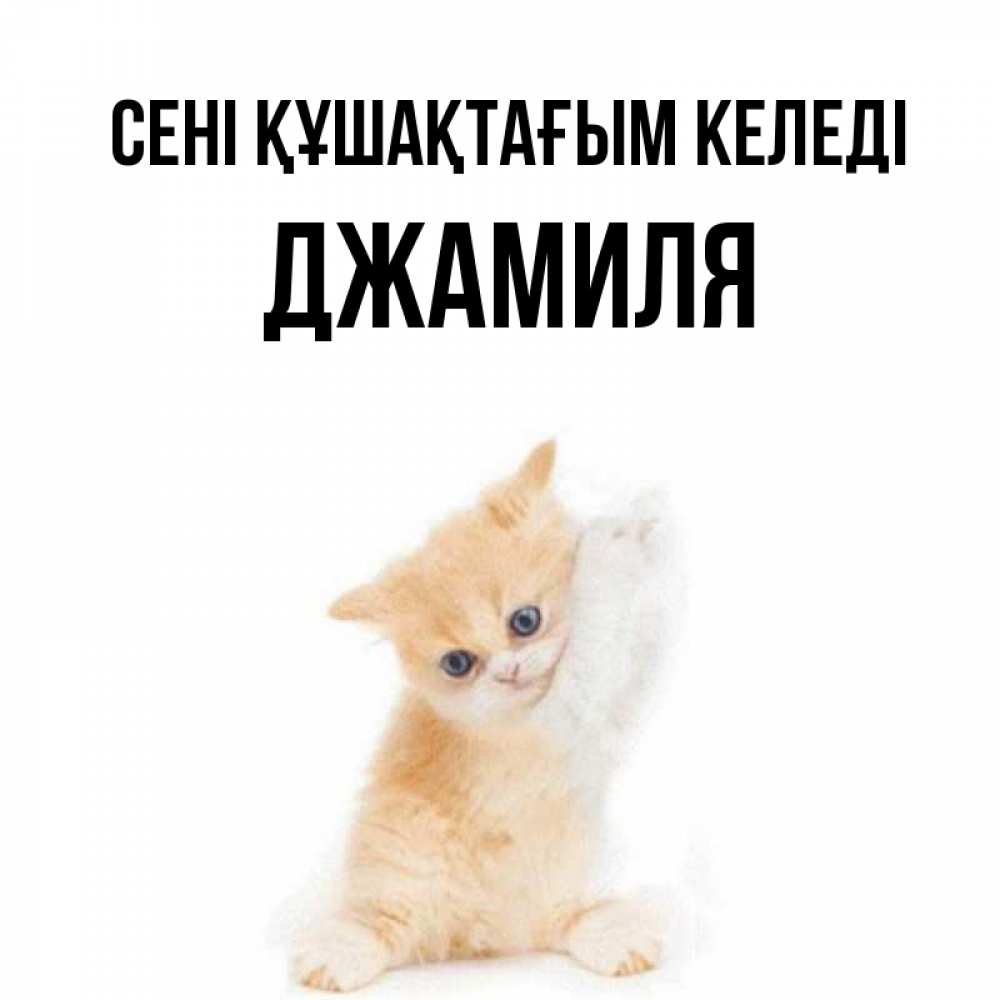 Күн сайын ашық хат с именем, Джамиля сені құшақтағым келеді я хочу очень скорее обнимаешек Онлайн тегін жүктеп алу тілектері бар керемет карта 