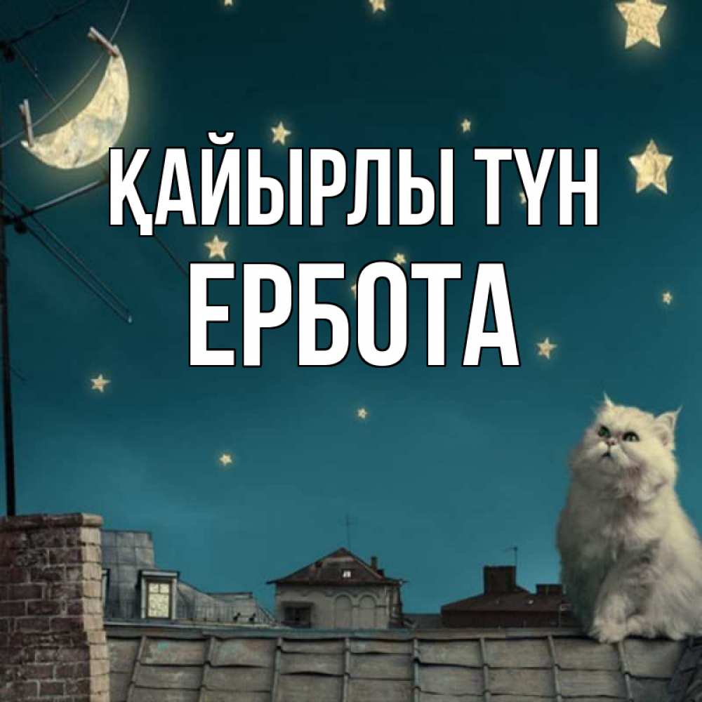 Күн сайын ашық хат с именем, Ербота Қайырлы түн белый кот сидит на крыше Онлайн тегін жүктеп алу тілектері бар керемет карта 