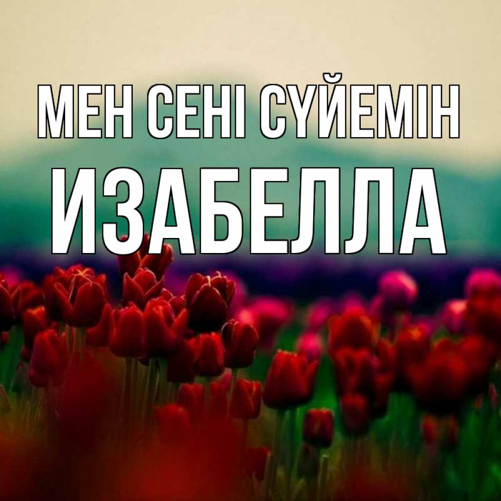 Күн сайын ашық хат с именем, Изабелла Мен сені сүйемін тюльпаны 4 Онлайн тегін жүктеп алу тілектері бар керемет карта 