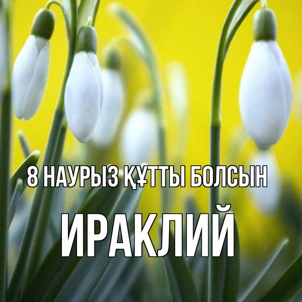 Күн сайын ашық хат с именем, Ираклий 8 наурыз құтты болсын весенние цветы Онлайн тегін жүктеп алу тілектері бар керемет карта 