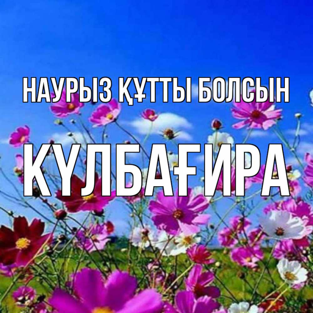 Күн сайын ашық хат с именем, КҮЛБАҒИРА Наурыз құтты болсын цветы Онлайн тегін жүктеп алу тілектері бар керемет карта 
