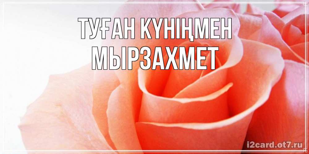 Күн сайын ашық хат с именем, МЫРЗАХМЕТ Туған күніңмен розы для поздравления с днем рождения Онлайн тегін жүктеп алу тілектері бар керемет карта 