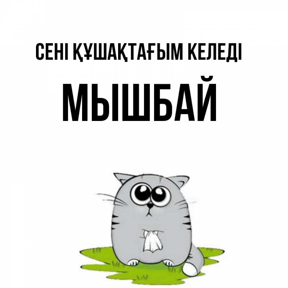 Күн сайын ашық хат с именем, МЫШБАЙ сені құшақтағым келеді котик теребит платочек сидя на травке Онлайн тегін жүктеп алу тілектері бар керемет карта 