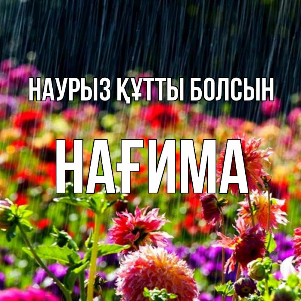 Күн сайын ашық хат с именем, НАҒИМА Наурыз құтты болсын цветы под дождиком к наурызу Онлайн тегін жүктеп алу тілектері бар керемет карта 