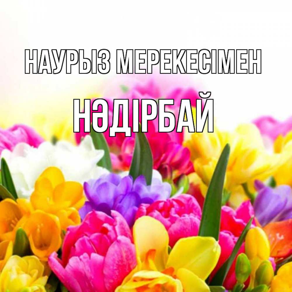 Күн сайын ашық хат с именем, НӘДІРБАЙ Наурыз мерекесімен тюльпаны Онлайн тегін жүктеп алу тілектері бар керемет карта 