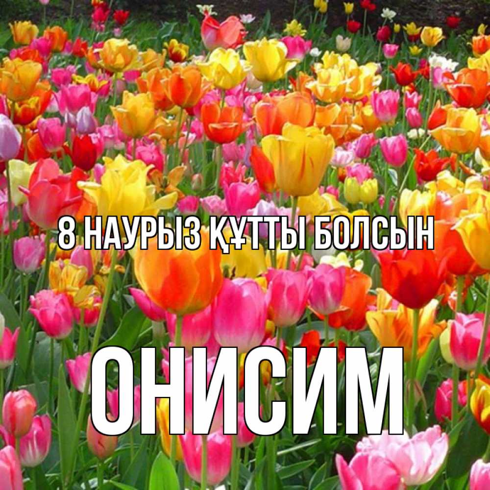 Күн сайын ашық хат с именем, Онисим 8 наурыз құтты болсын на международный женский день Онлайн тегін жүктеп алу тілектері бар керемет карта 