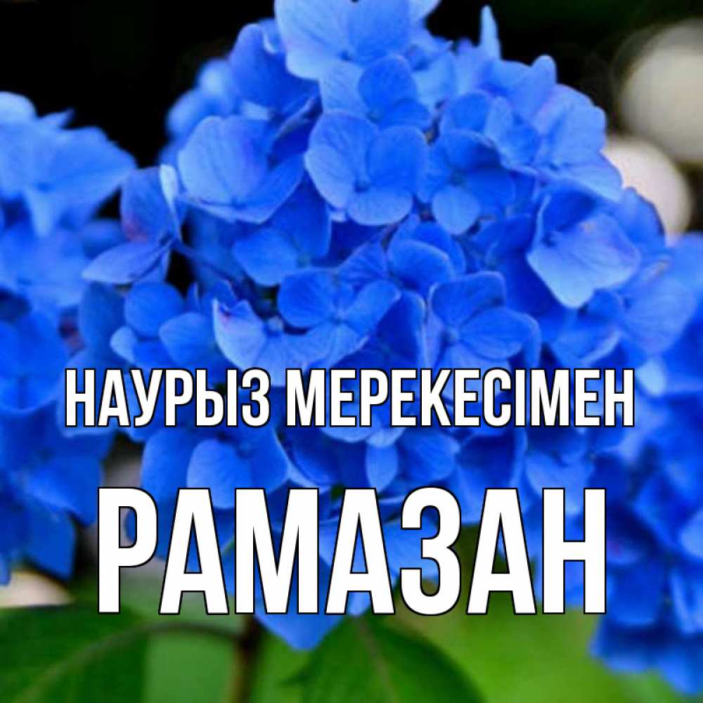 Күн сайын ашық хат с именем, РАМАЗАН Наурыз мерекесімен синие цветы Онлайн тегін жүктеп алу тілектері бар керемет карта 