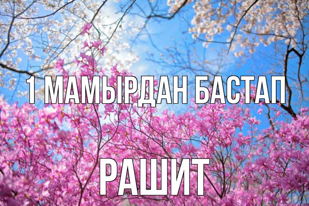 Күн сайын ашық хат с именем, РАШИТ 1 мамырдан бастап С 1 мая Онлайн тегін жүктеп алу тілектері бар керемет карта 