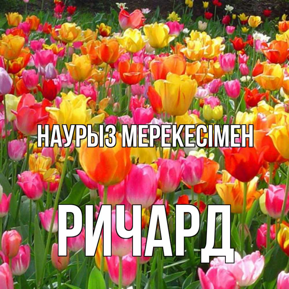 Күн сайын ашық хат с именем, Ричард Наурыз мерекесімен праздник весны наурыз 4 Онлайн тегін жүктеп алу тілектері бар керемет карта 