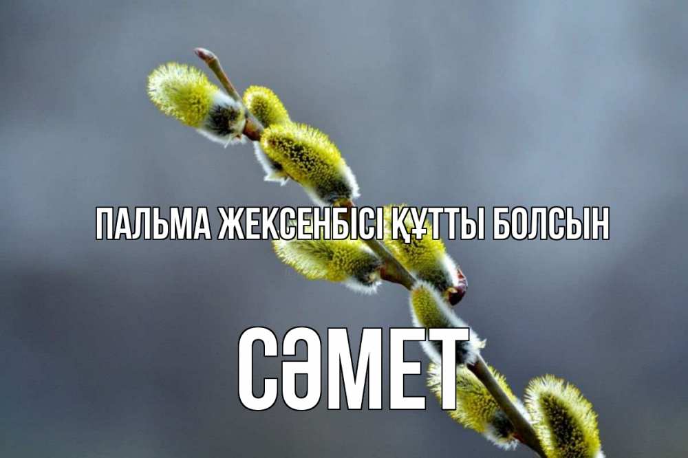 Күн сайын ашық хат с именем, СӘМЕТ Пальма жексенбісі құтты болсын верба Онлайн тегін жүктеп алу тілектері бар керемет карта 
